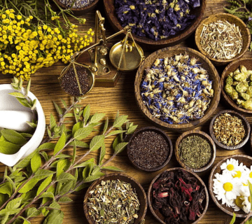 Herbal Remedies & Ayurveda: Healing Plants from the Elephant Village Gardens