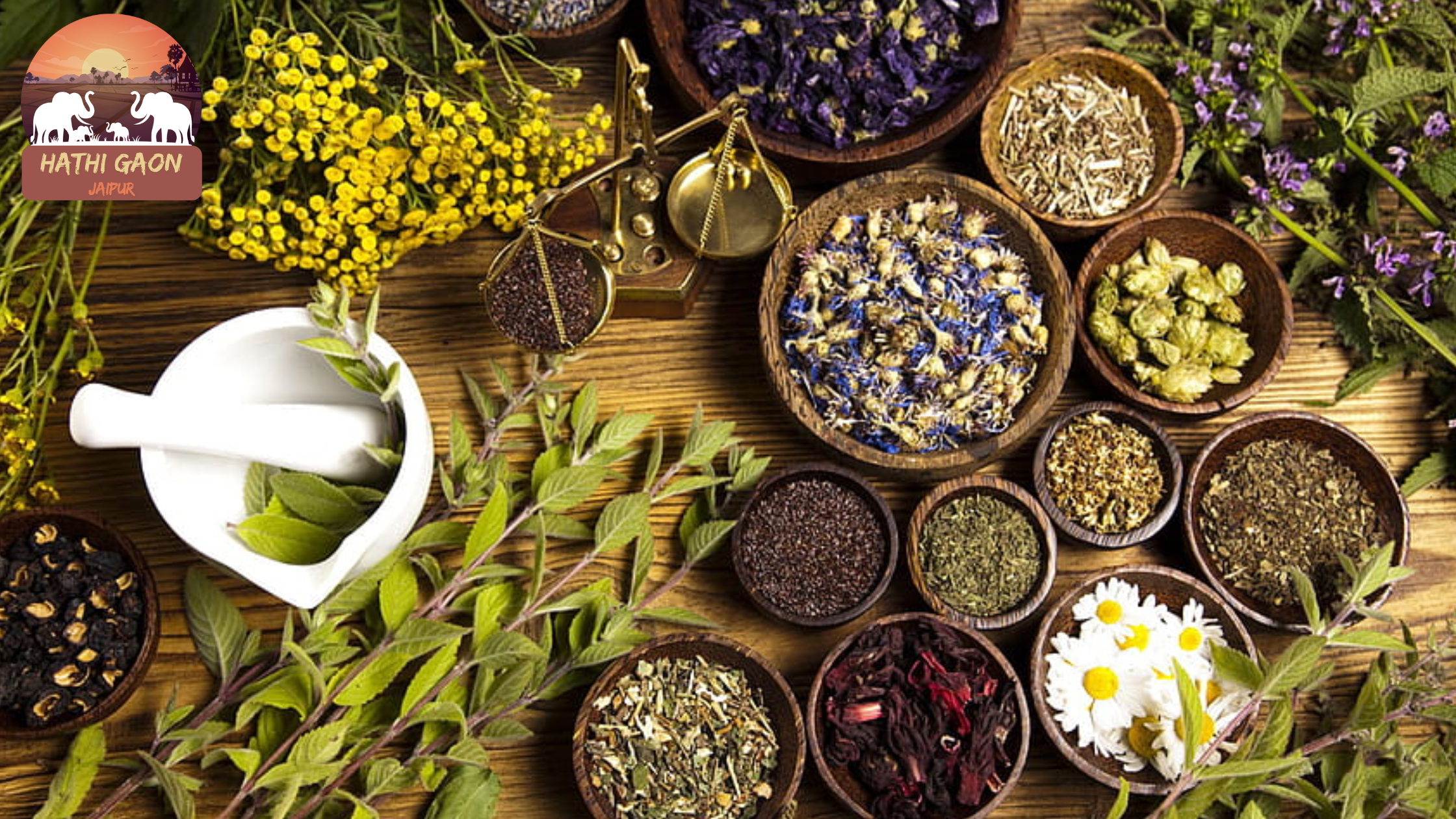 Herbal Remedies & Ayurveda: Healing Plants from the Elephant Village Gardens