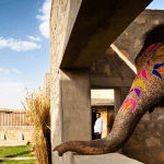 A Day in the Life of Hathigaon’s Rescued Elephants: From Dawn to Dusk
