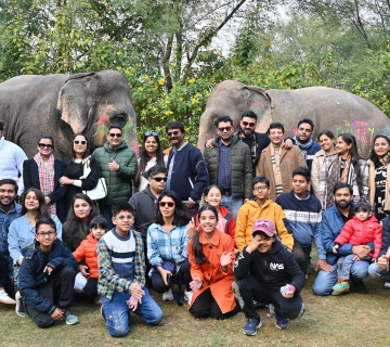 Responsible Travel in Jaipur: Combining Cultural Tours with Ethical Elephant Encounters