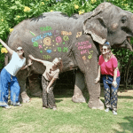 Elephant Painting Workshops at Hathi Gaon: A Canvas on Gentle Giants