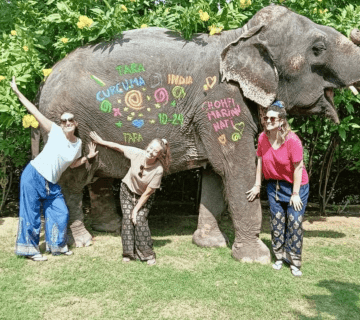 Elephant Painting Workshops at Hathi Gaon: A Canvas on Gentle Giants