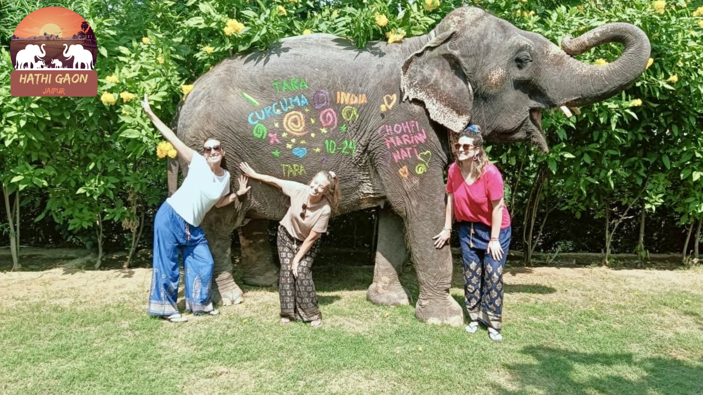 Elephant Painting Workshops at Hathi Gaon: A Canvas on Gentle Giants