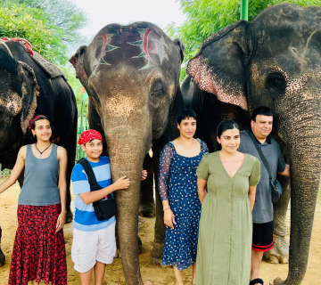 Seasonal Elephant Behaviors: What Changes with Monsoon, Summer and Winter