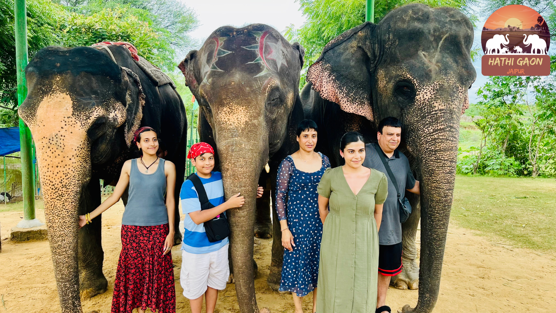 Seasonal Elephant Behaviors: What Changes with Monsoon, Summer and Winter