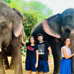 Hathigaon’s Model Helps Combat Poaching and Illegal Trade