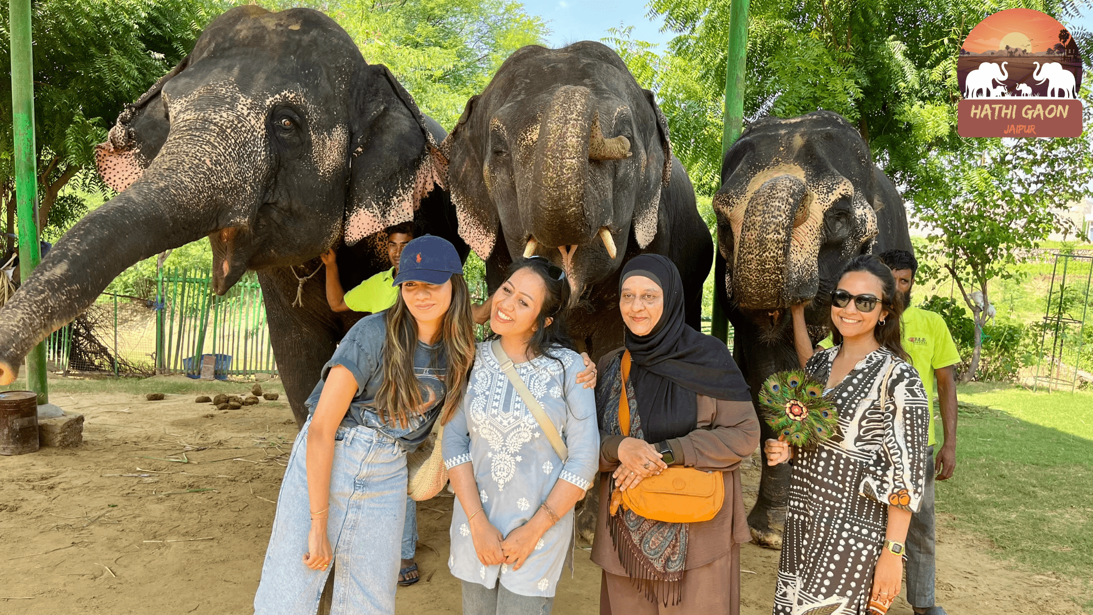 How to Experience Elephants Ethically in Jaipur