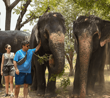 Responsible Tourism: Dos and Don’ts When Visiting Hathi Gaon