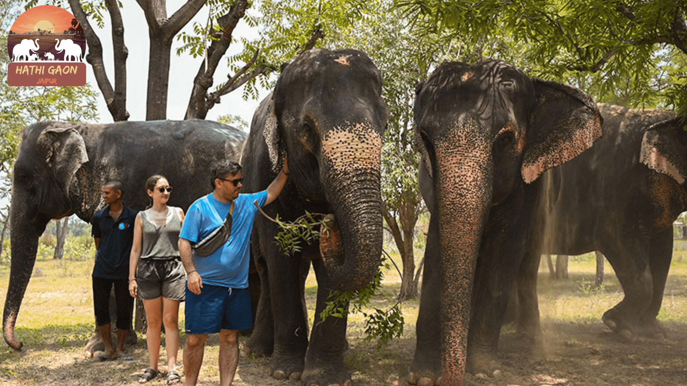 Responsible Tourism: Dos and Don’ts When Visiting Hathi Gaon
