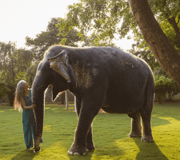 Elephant Conservation: Global Challenges and Local Solutions at Hathi Gaon