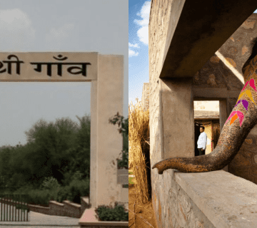 Why Elephants Need Space: Designing Natural Habitats at Hathi Gaon
