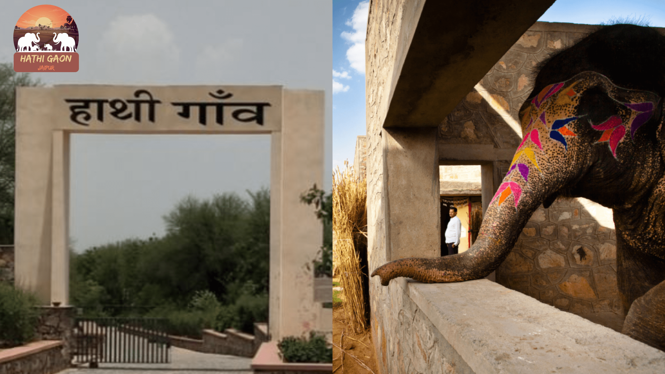 Why Elephants Need Space: Designing Natural Habitats at Hathi Gaon