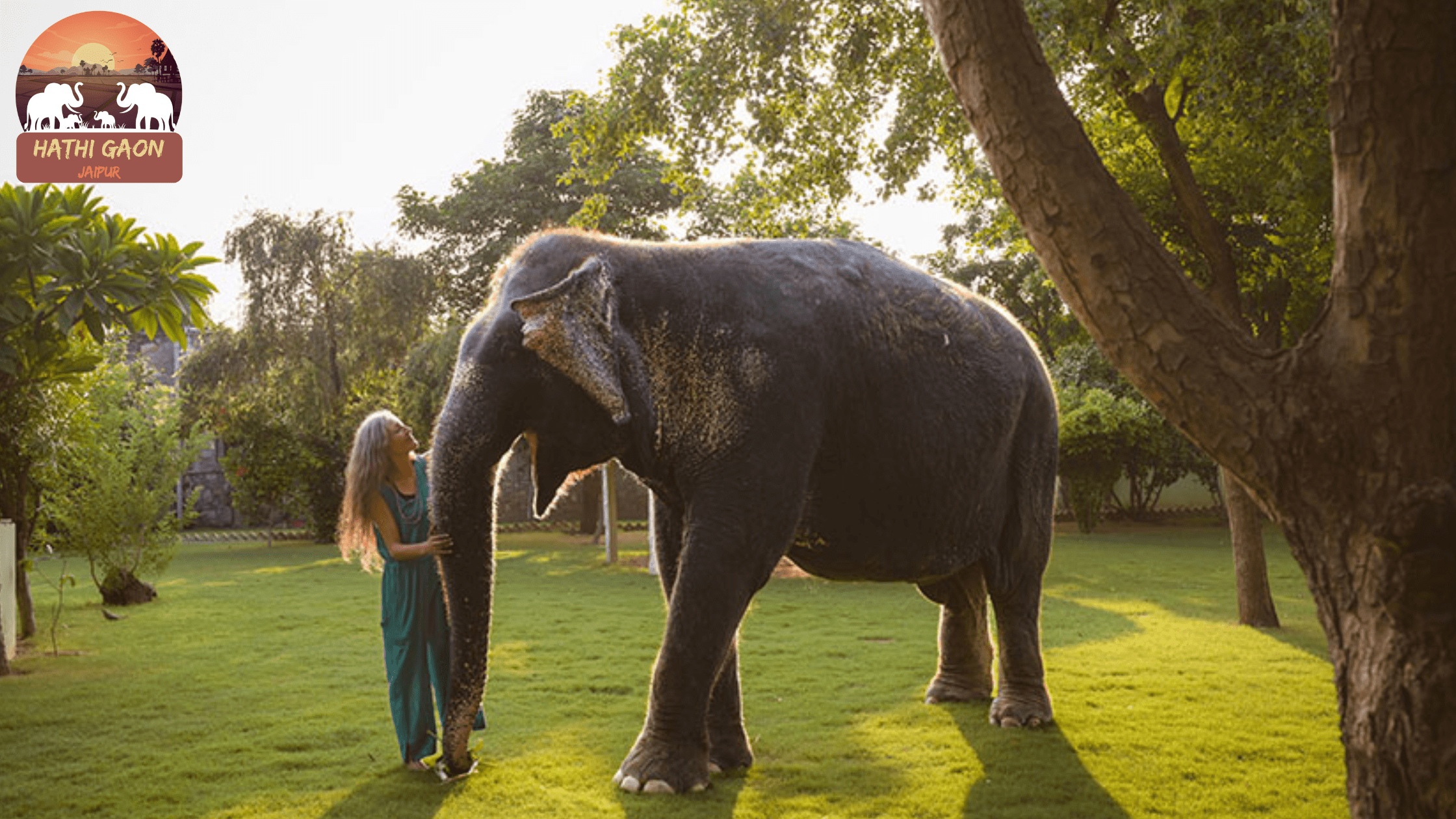 Elephant Conservation: Global Challenges and Local Solutions at Hathi Gaon