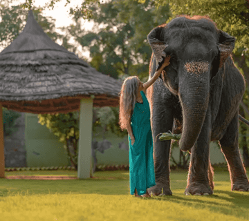 Best Time to Visit Hathi Gaon, Jaipur (2025