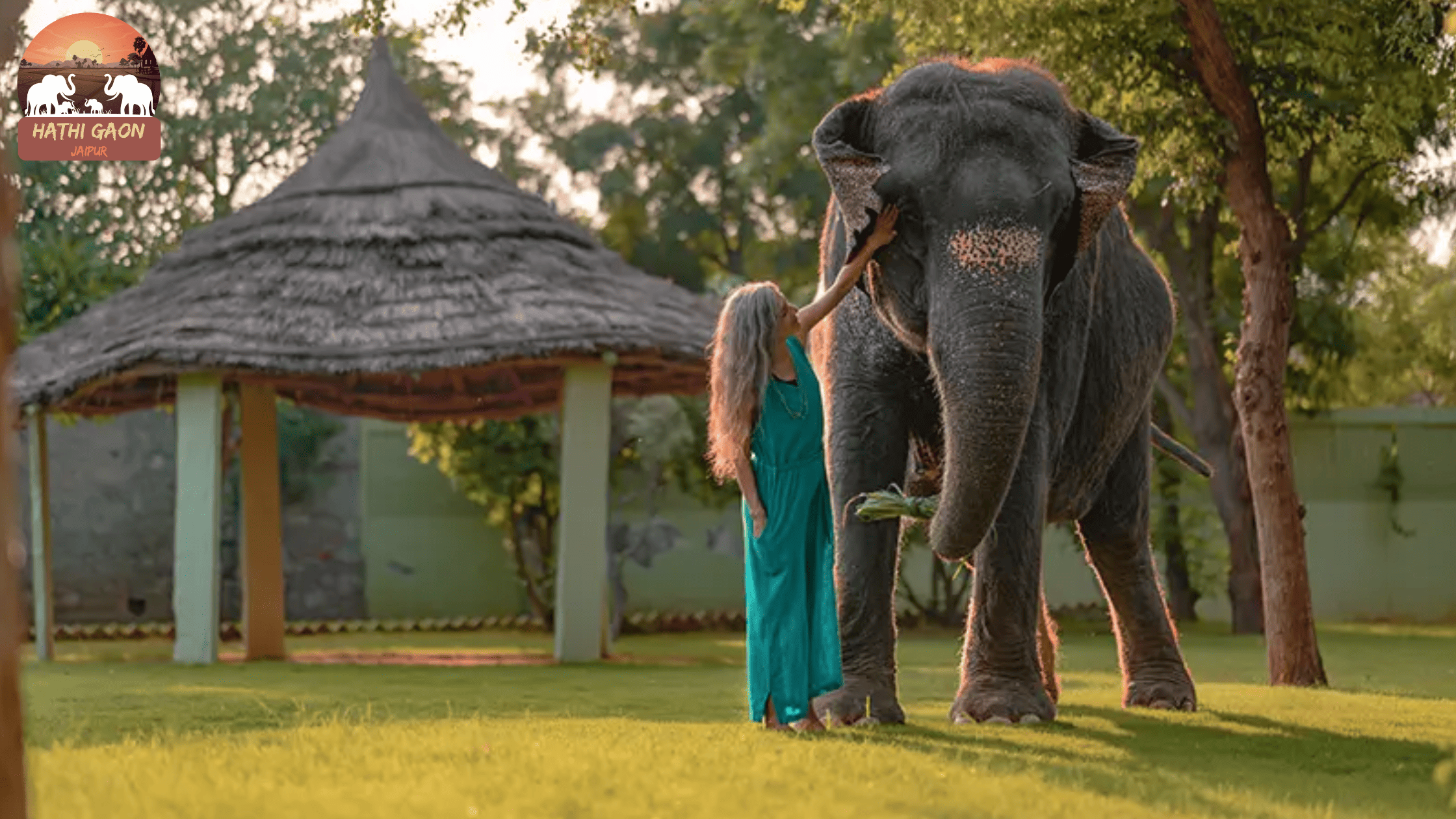Best Time to Visit Hathi Gaon, Jaipur (2025