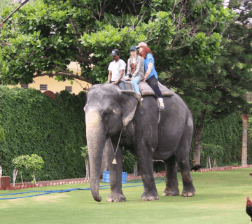 Filming & Pre-Wedding Shoots at Hathi Gaon: Permits, Costs & Ethical Guidelines