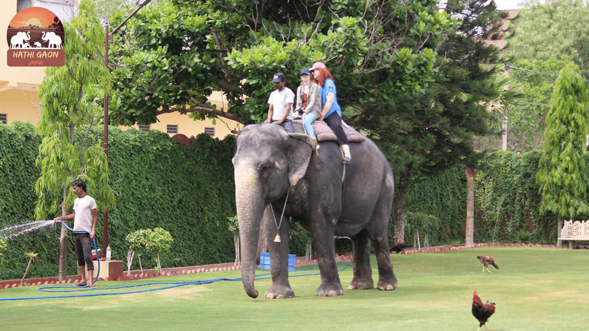 Filming & Pre-Wedding Shoots at Hathi Gaon: Permits, Costs & Ethical Guidelines