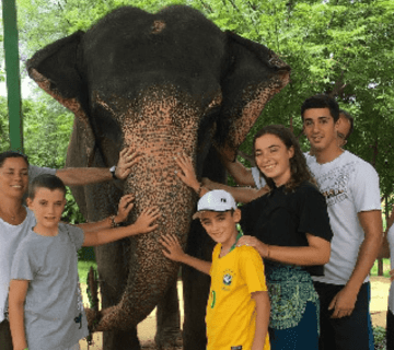 Beyond the Mahout’s Day (2025)