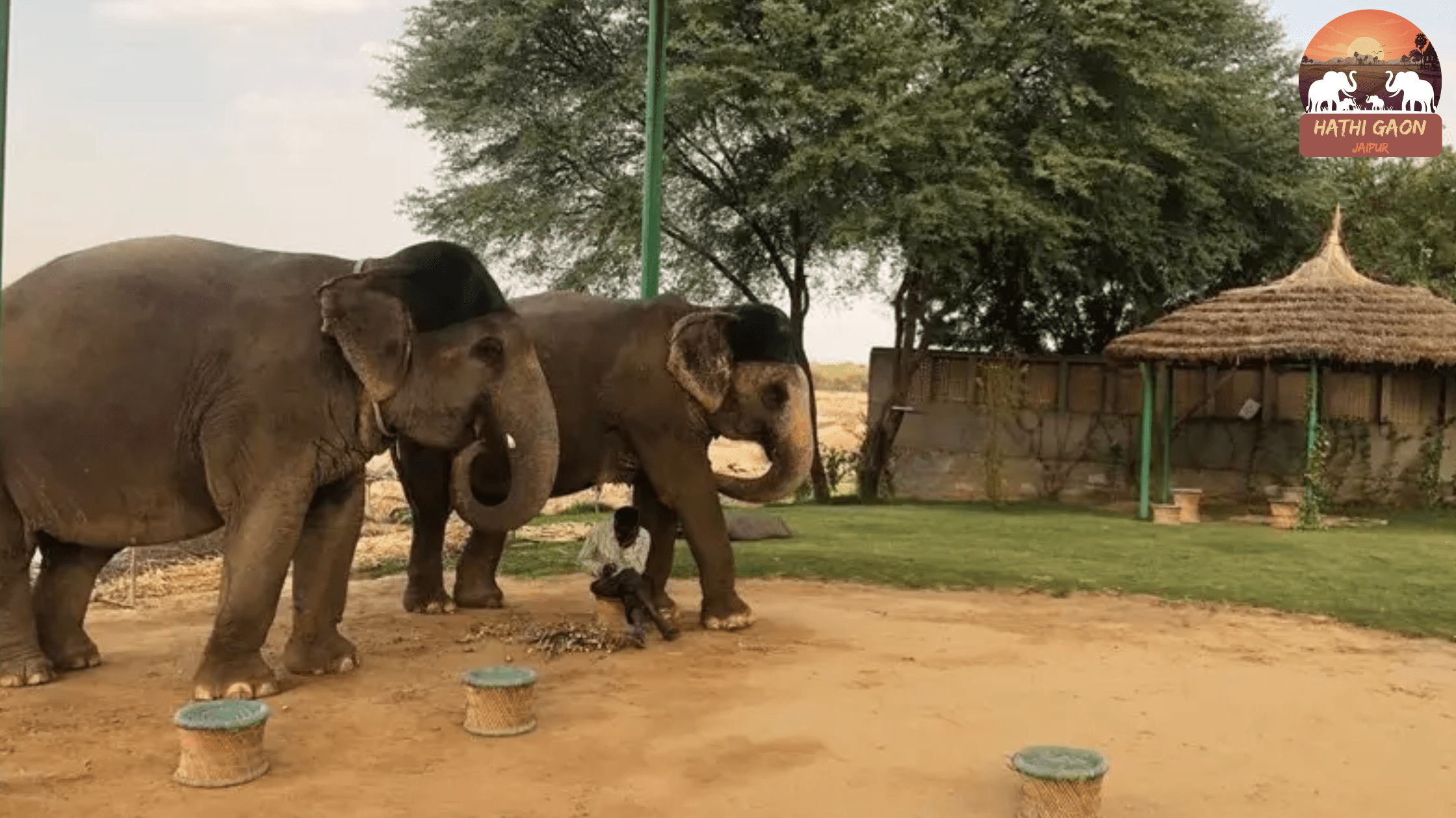 Hathi Gaon Timings & Ticket Price (2025 Guide): What’s Included, What’s Not