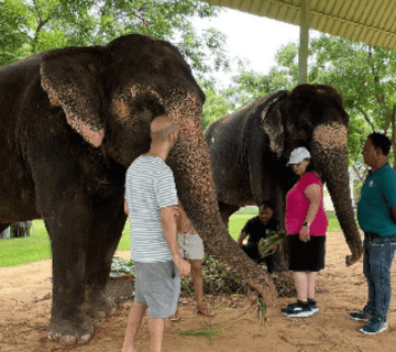 Hathi Gaon With Kids (2025): Safety, Learning Activities & a Printable Animal-Care Worksheet