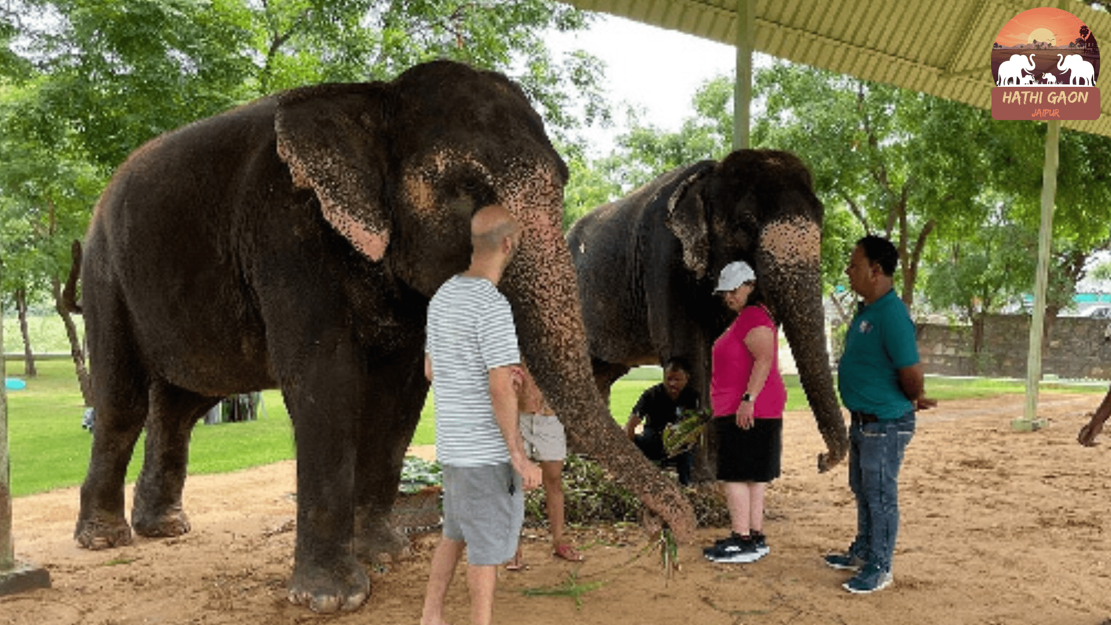 Hathi Gaon With Kids (2025): Safety, Learning Activities & a Printable Animal-Care Worksheet