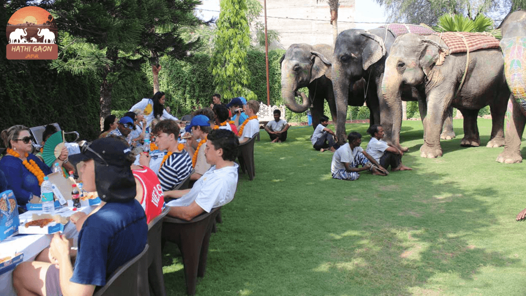 Hathi Gaon Jaipur | Elephant Village Jaipur