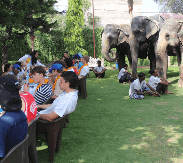 How to Reach Hathi Gaon (Elephant Village), Jaipur