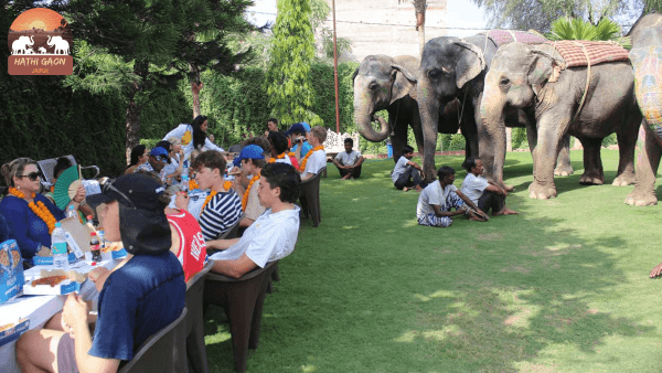 Hathi Gaon Jaipur | Elephant Village Jaipur