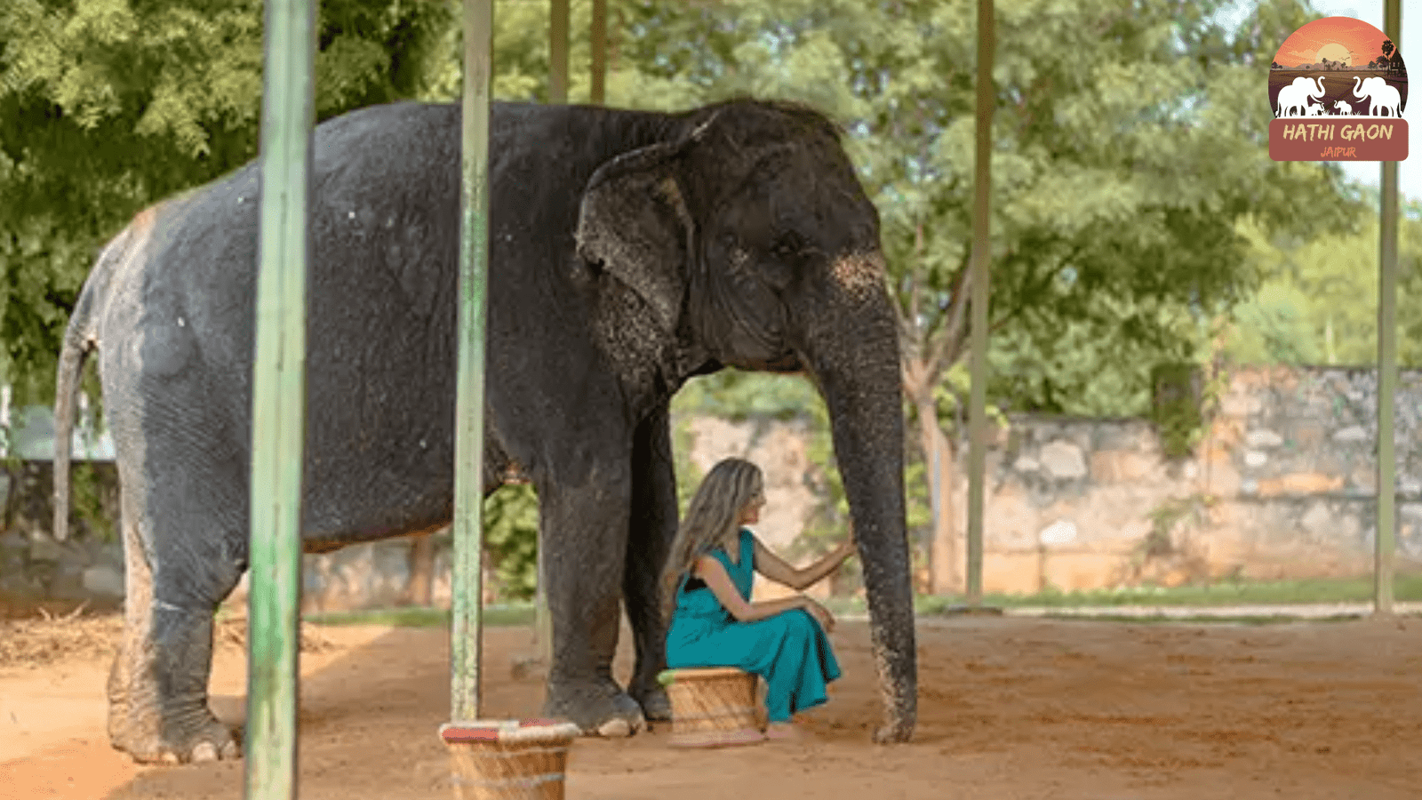 The Perfect Jaipur Day Trip: Hathi Gaon–Amer–Nahargarh